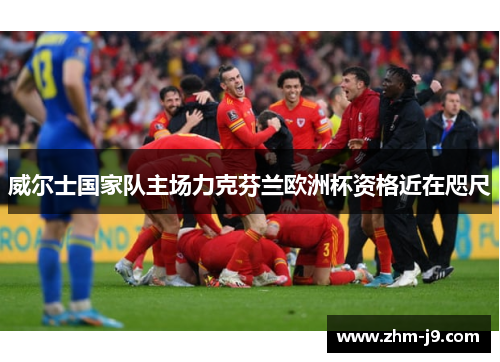 威尔士国家队主场力克芬兰欧洲杯资格近在咫尺 威尔士国家队主场力克芬兰欧洲杯资格近在咫尺